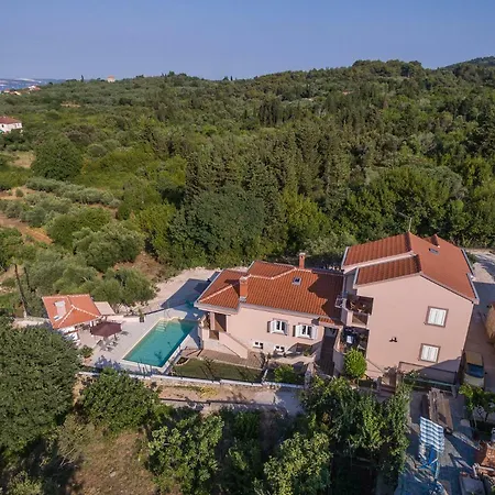 Jelavic Daire Sutomiscica