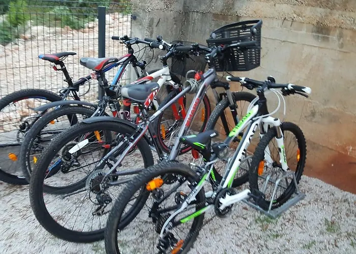 Jelavic * Sutomiscica