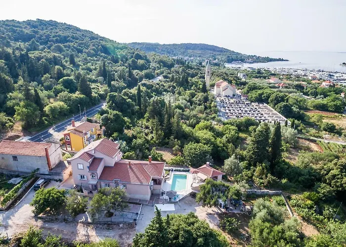 Jelavic * Sutomiscica